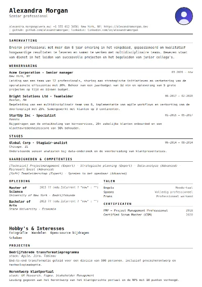 Cv-sjabloon Compact