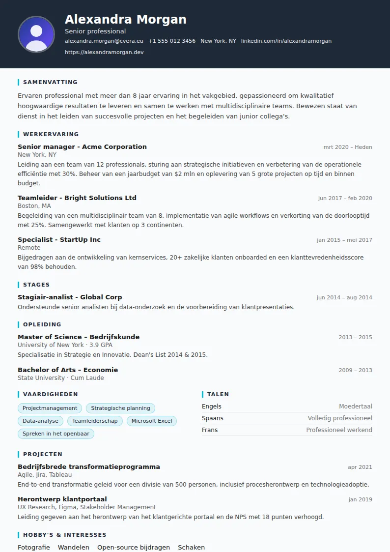 Cv-sjabloon Consultant