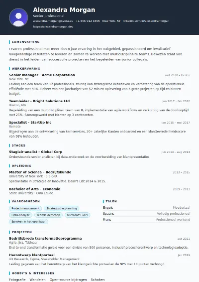 Cv-sjabloon Consultant