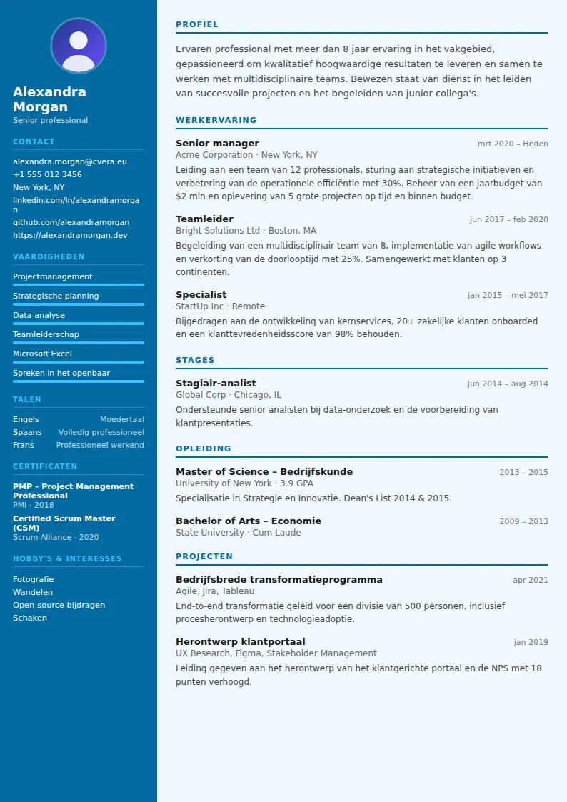 Cv-sjabloon Dentist