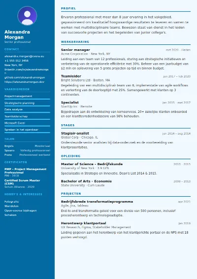 Cv-sjabloon Dentist