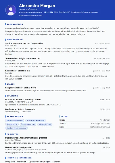 Cv-sjabloon Driver