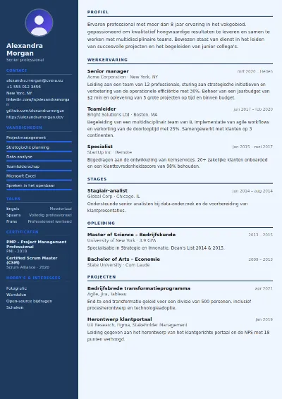 Cv-sjabloon Economist
