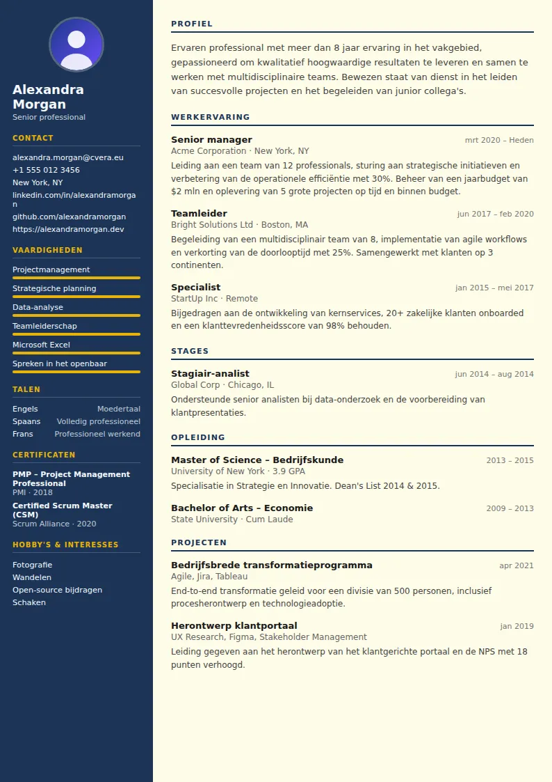 Cv-sjabloon Electrician
