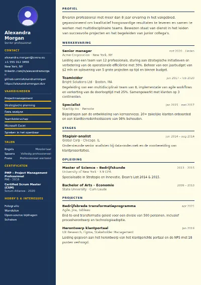 Cv-sjabloon Electrician