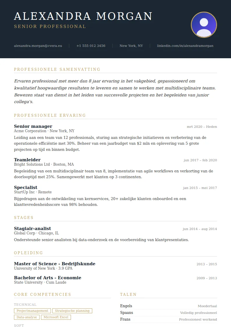 Cv-sjabloon Executive