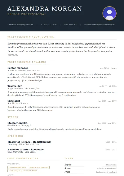 Cv-sjabloon Executive