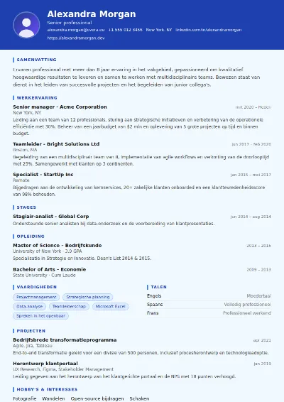 Cv-sjabloon Financial Analyst