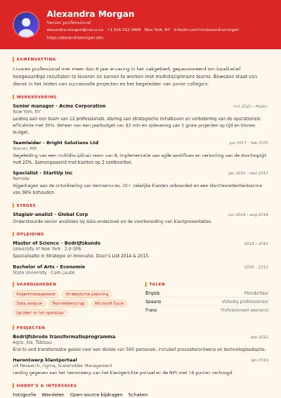 Cv-sjabloon Firefighter