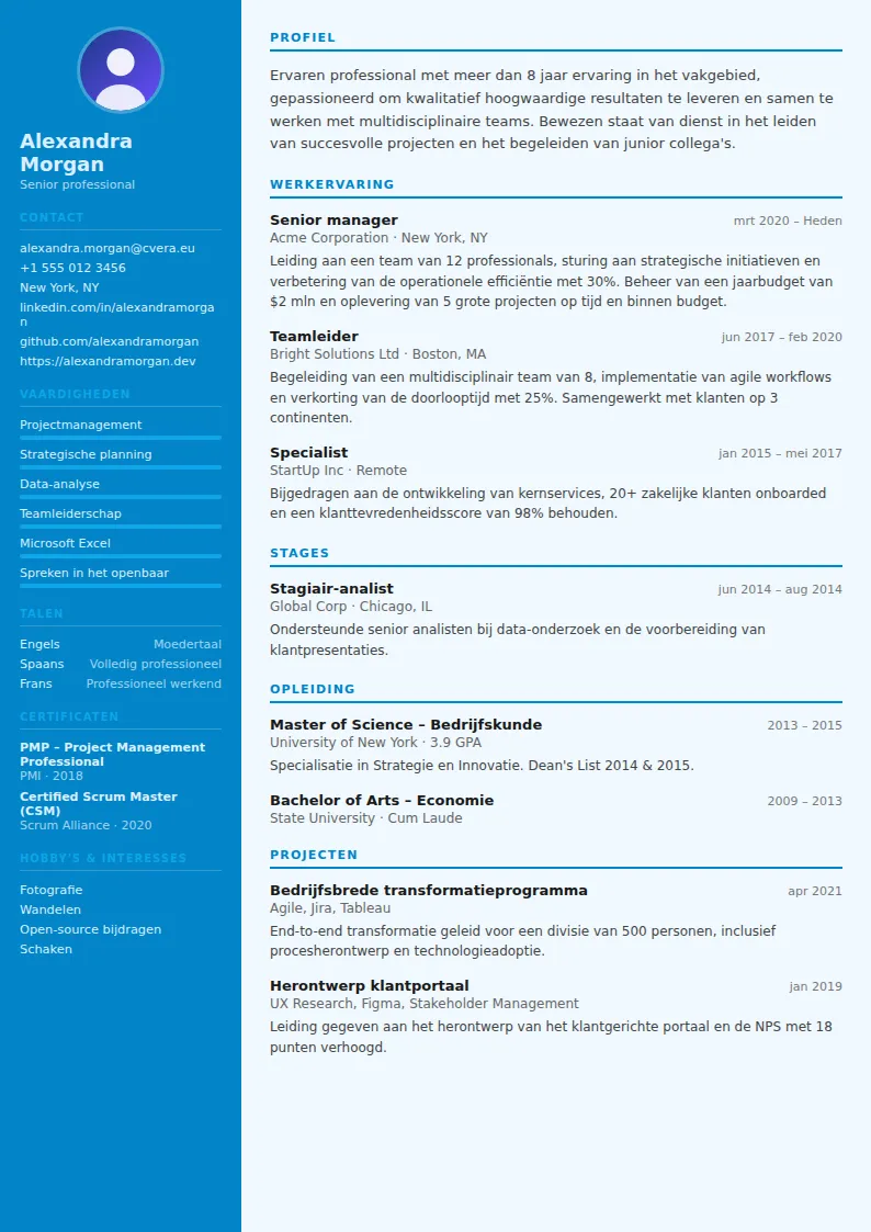 Cv-sjabloon Flight Attendant