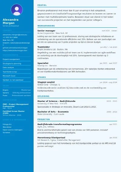 Cv-sjabloon Flight Attendant
