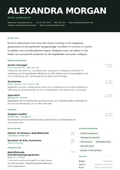 Cv-sjabloon Headline