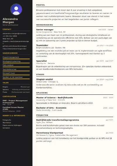 Cv-sjabloon Hotel Manager