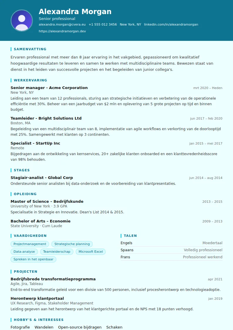 Cv-sjabloon IT Support