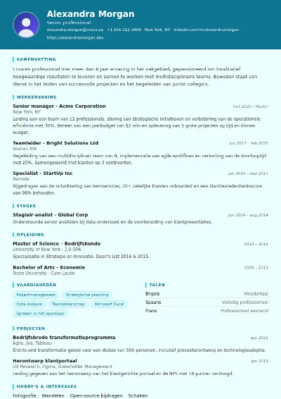 Cv-sjabloon IT Support