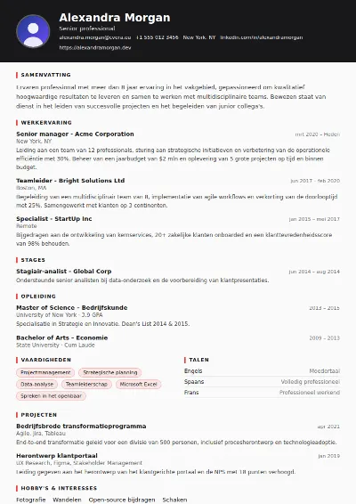 Cv-sjabloon Journalist
