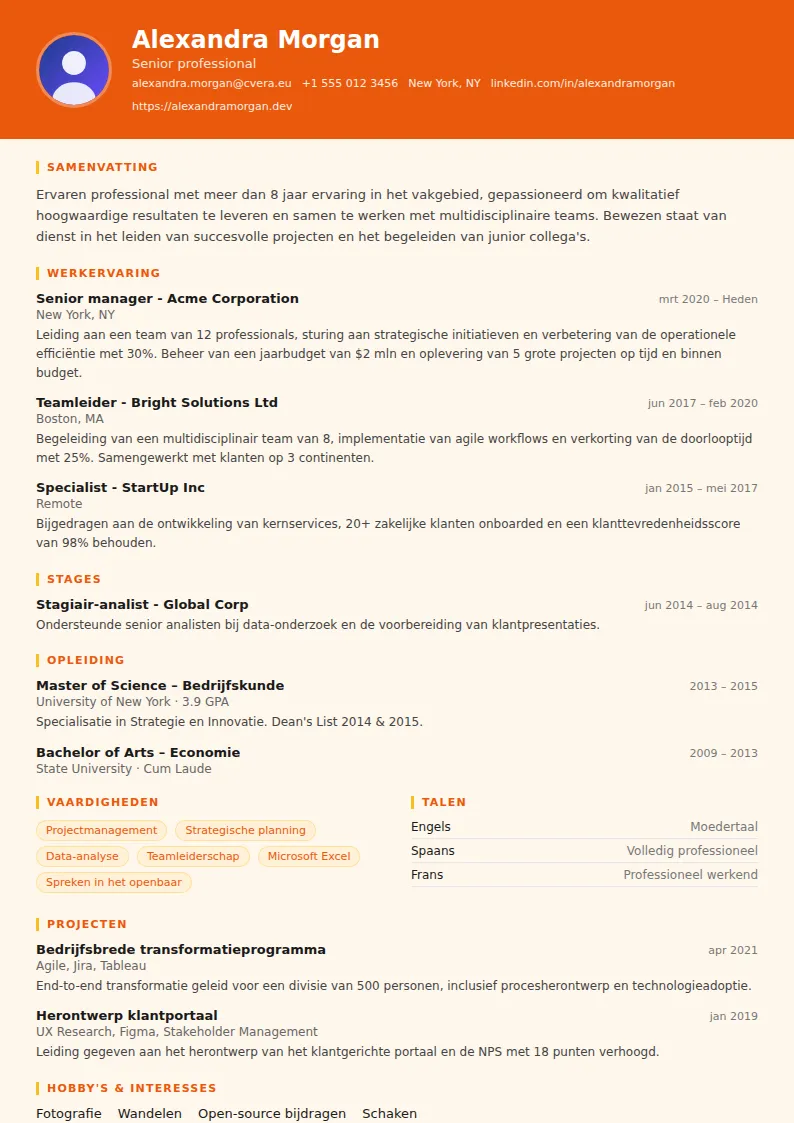 Cv-sjabloon Marketing