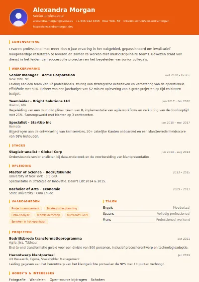 Cv-sjabloon Marketing