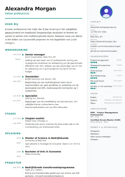 Cv-sjabloon Modern