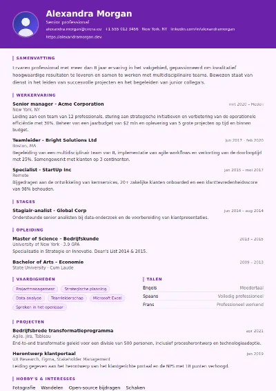 Cv-sjabloon Musician
