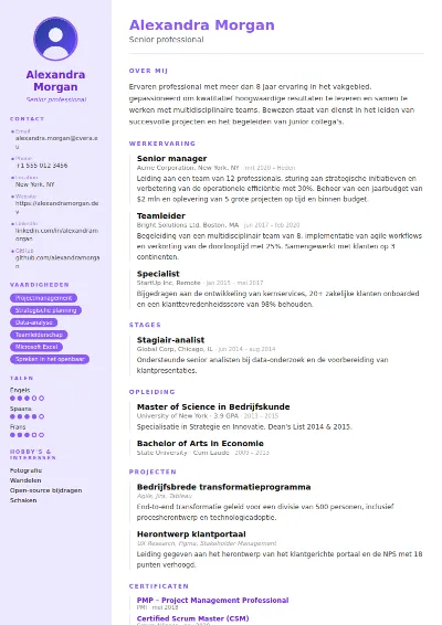 Cv-sjabloon Pastel