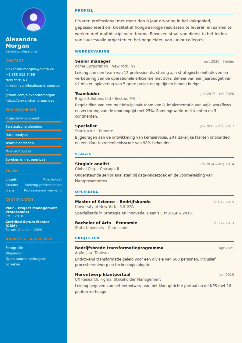 Cv-sjabloon Physiotherapist