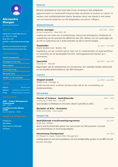 Cv-sjabloon Physiotherapist