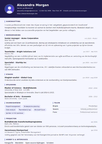 Cv-sjabloon Professor