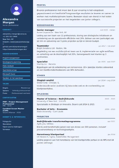 Cv-sjabloon Radiologist