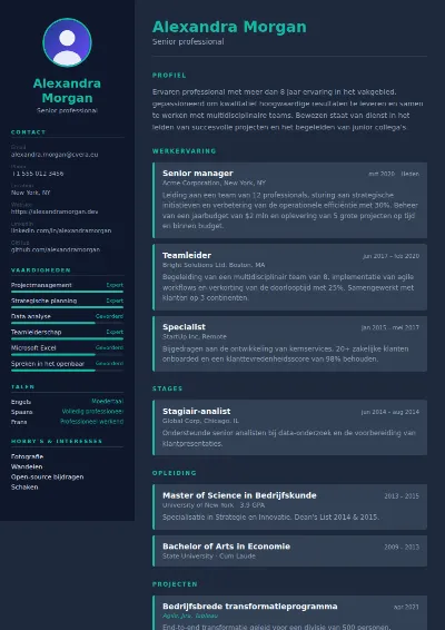 Cv-sjabloon Slate