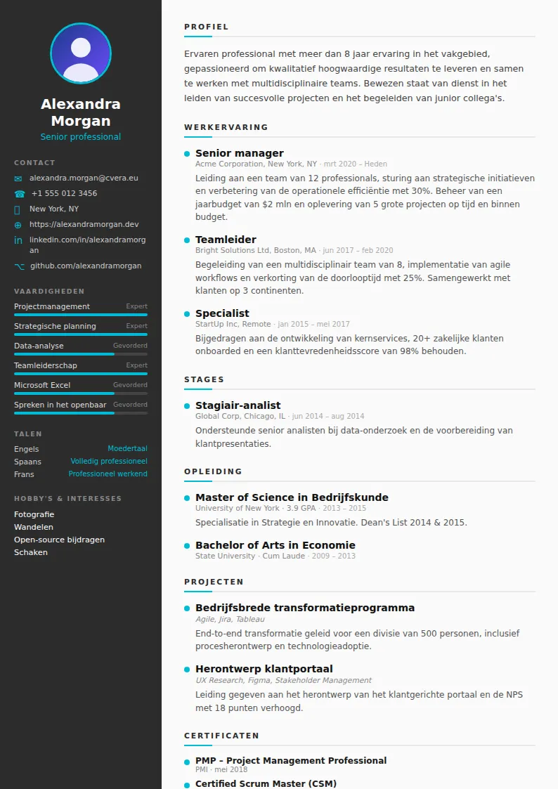 Cv-sjabloon Sleek