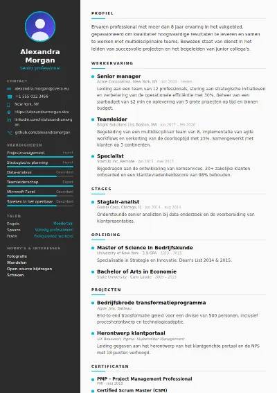 Cv-sjabloon Sleek