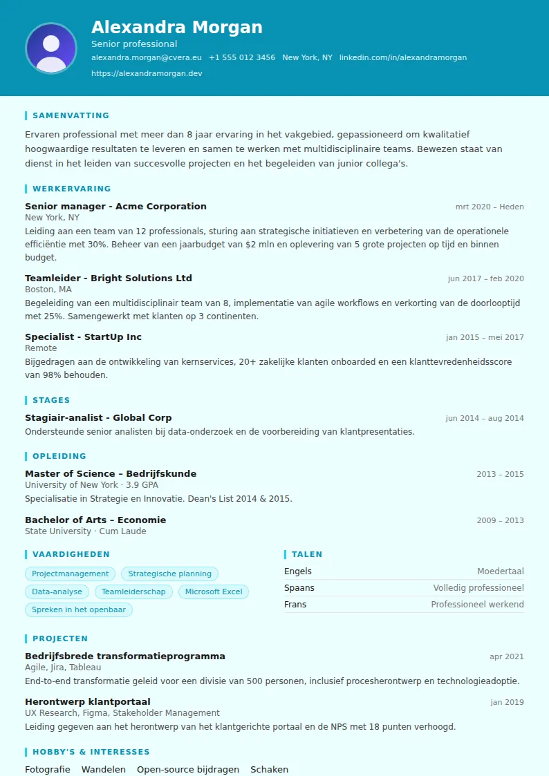 Cv-sjabloon Social Worker