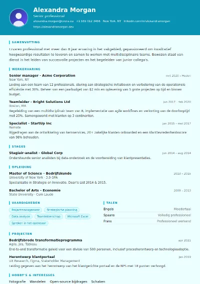 Cv-sjabloon Social Worker