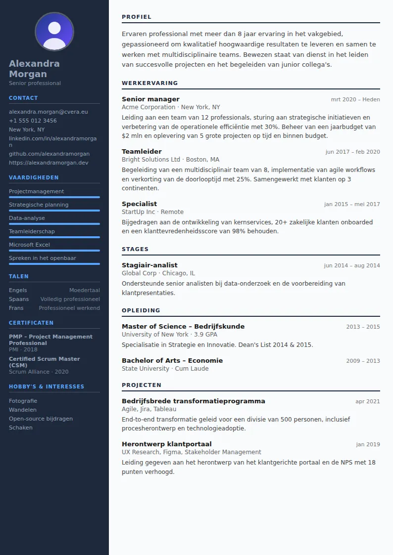 Cv-sjabloon Software Engineer