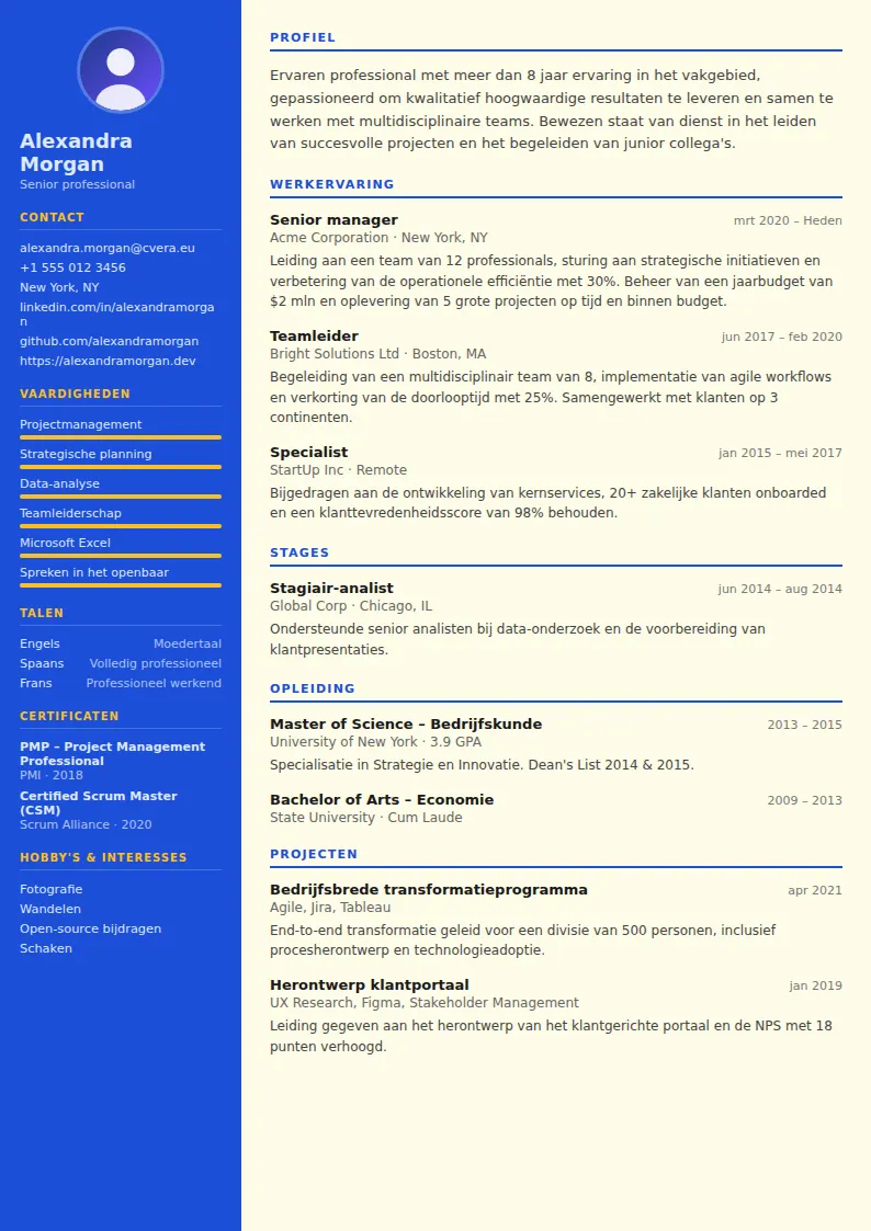 Cv-sjabloon Teacher