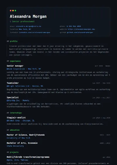 Cv-sjabloon Terminal