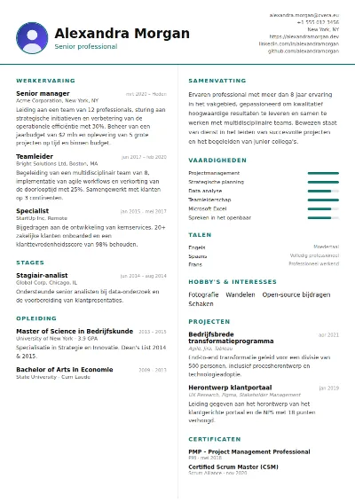 Cv-sjabloon Two Column