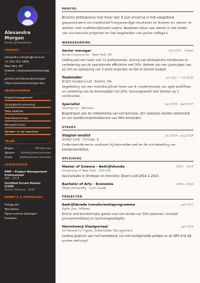 Cv-sjabloon Welder