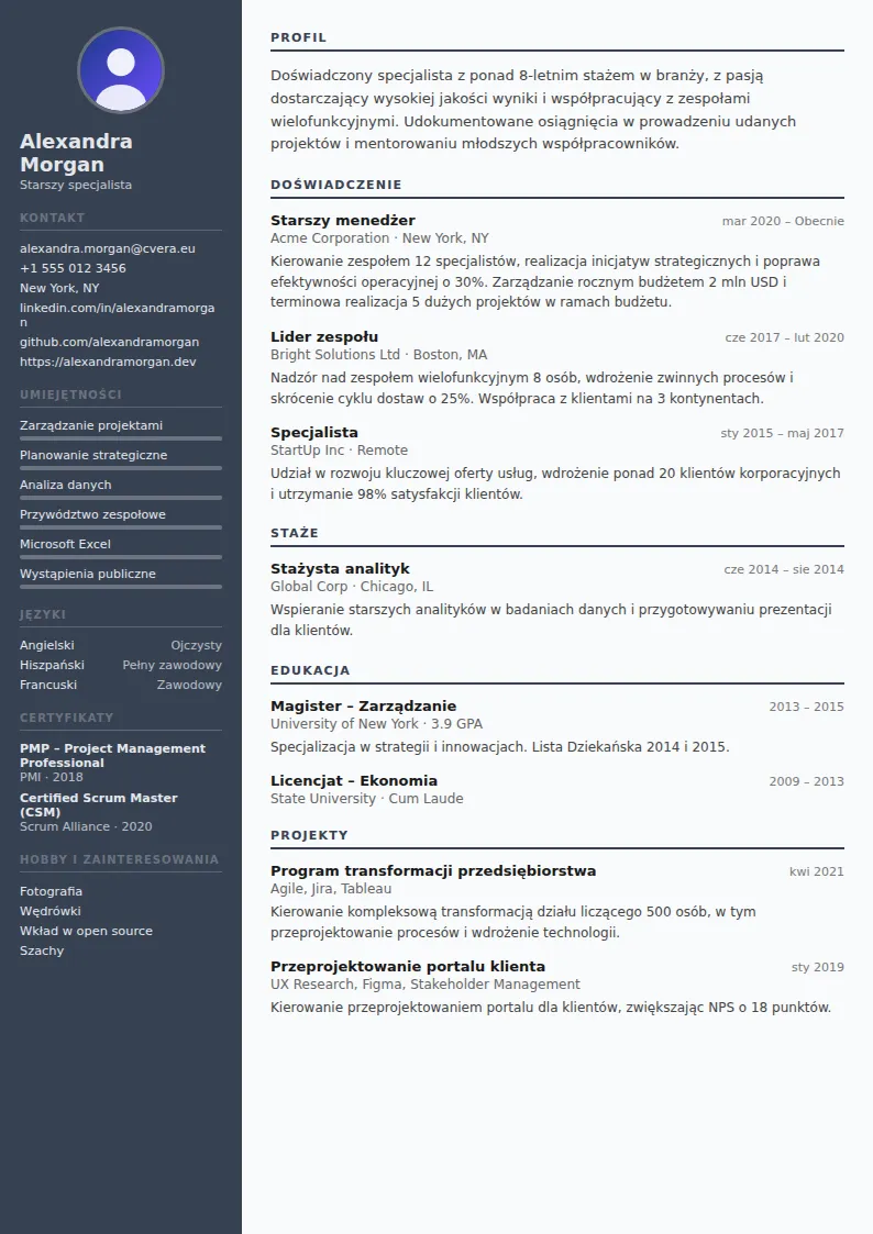 Szablon CV Auditor