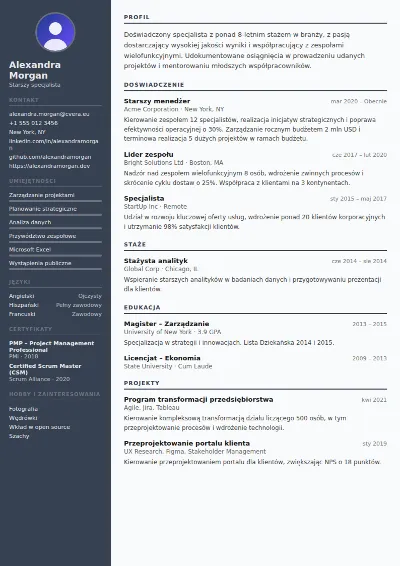 Szablon CV Auditor