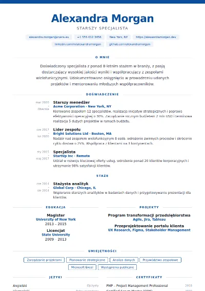 Szablon CV Cobalt