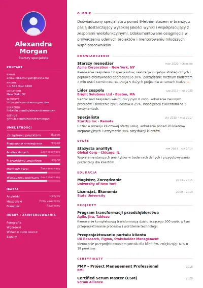 Szablon CV Colorfield