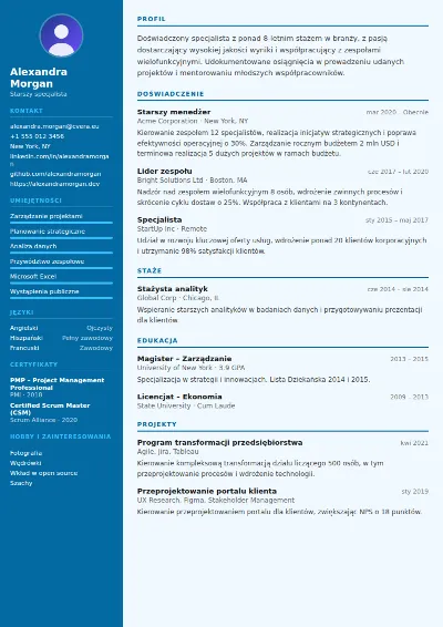 Szablon CV Dentist