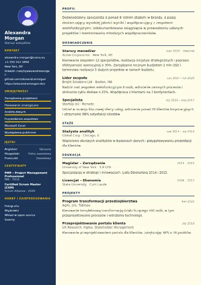 Szablon CV Electrician