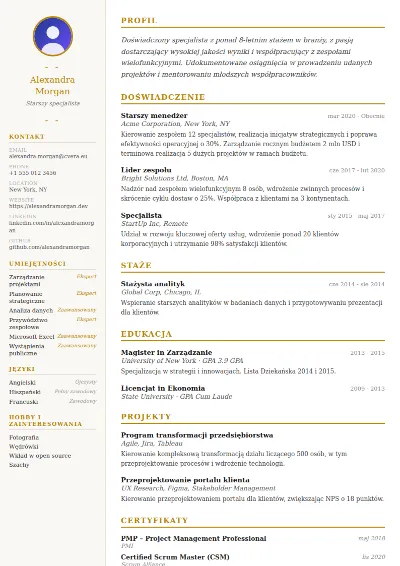 Szablon CV Elegant
