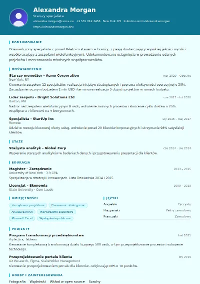 Szablon CV IT Support