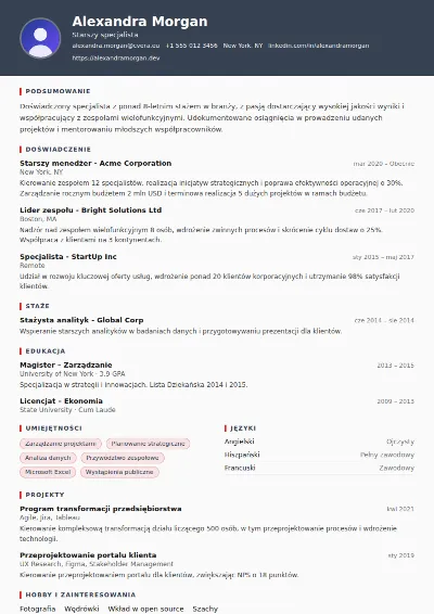 Szablon CV Mechanic