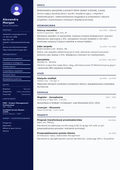 Szablon CV Pilot