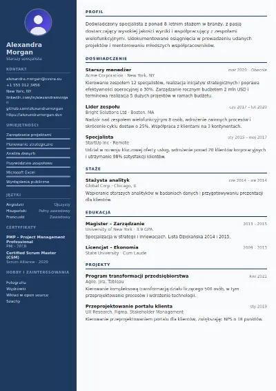 Szablon CV Police